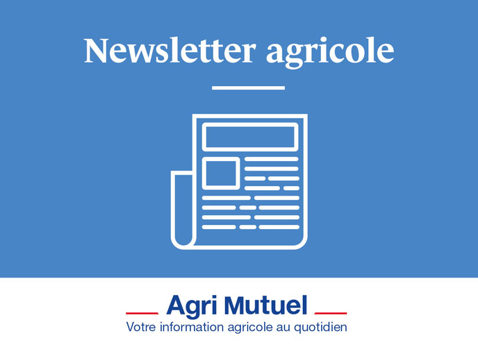 Newsletter agricole : Toute l'info par mail chaque matin ou le dimanche, vous choisissez et c'est gratuit !