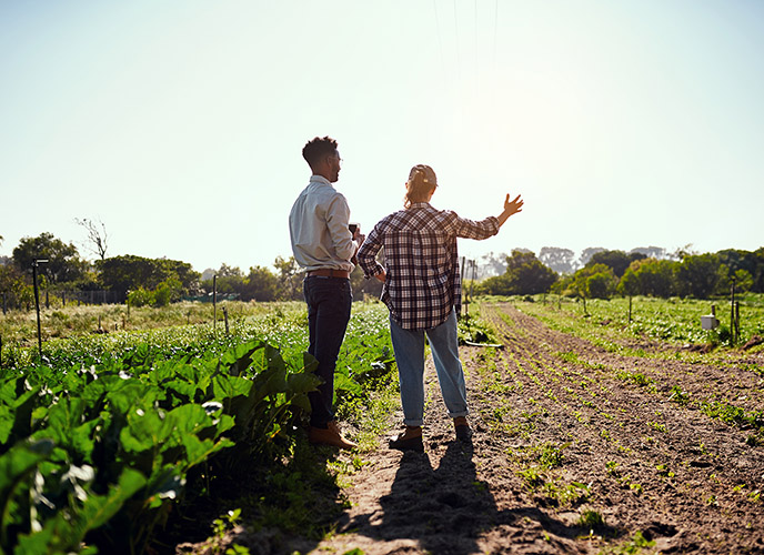 Crise agricole : Dispositif d'aide aux exploitants en difficulté